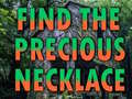 խաղ Find The Precious Necklace