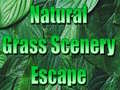 խաղ Natural Grass Scenery Escape