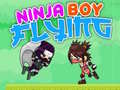 խաղ Ninja Boy Flying