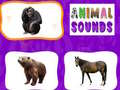 խաղ Animal Sounds