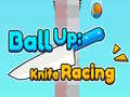 խաղ Ball Up: Knife Racing 