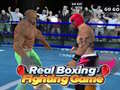 խաղ Real Boxing Fighting Game