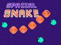 խաղ Spacial Snake