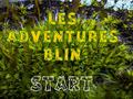 խաղ Les Adventures Blin