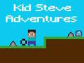 խաղ Kid Steve Adventures