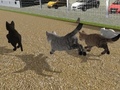 խաղ Run Cat Cat Race
