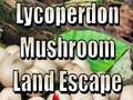 խաղ Lycoperdon Mushroom Land Escape