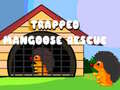 խաղ Trapped Mangoose Rescue