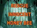 խաղ Rescue Innocent Honey Bee 