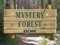 խաղ Mystery Forest