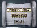 խաղ Underground Dungeon Escape