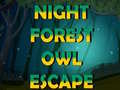 խաղ Night Forest Owl Escape