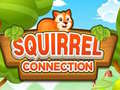 խաղ Squirrel Connection