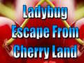 խաղ Ladybug Escape From Cherry Land