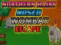 խաղ Northern hairy nosed wombat Escape
