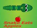 խաղ Snake Eats Apple