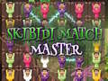 խաղ Skibidi Match Master