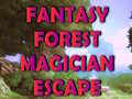 խաղ Fantasy Forest Magician Escape