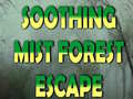 խաղ Soothing Mist Forest Escape