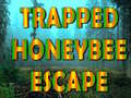 խաղ Trapped Honeybee Escape