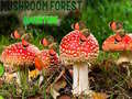 խաղ Mushroom Forest Adventure