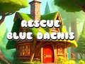 խաղ Rescue Blue Dacnis