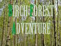 խաղ Birch Forest Adventure