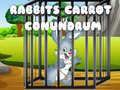 խաղ Rabbits Carrot Conundrum