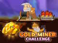 խաղ Gold Miner Challenge