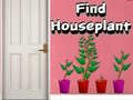խաղ Find Houseplant