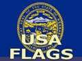 խաղ Usa Flags 