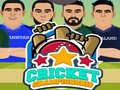 խաղ Cricket Championship