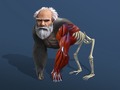 խաղ Idle Evolution From Cell To Human