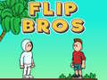 խաղ Flip Bros
