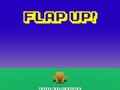 խաղ Flap Up