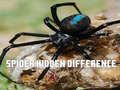 խաղ Spider Hidden Difference