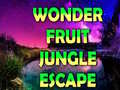 խաղ Wonder Fruit Jungle Escape