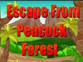 խաղ Escape From Peacock Forest