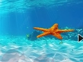 խաղ Escape From Underwater Starfish