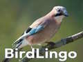 խաղ BirdLingo