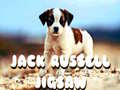 խաղ Jack Russell Jigsaw