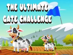խաղ The Ultimate Gate Challenge
