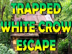 խաղ Trapped White Crow Escape