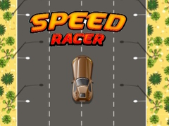 խաղ Speed Racer
