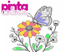 խաղ Pinta Colour