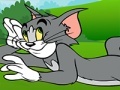 խաղ Tom and Jerry ATV Adventure