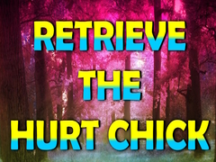 խաղ Retrieve The Hurt Chick