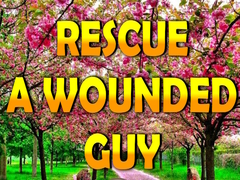 խաղ Rescue A Wounded Guy