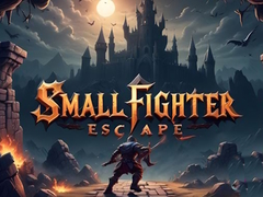խաղ Small Fighter Escape
