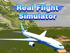 խաղ Real Flight Simulator 